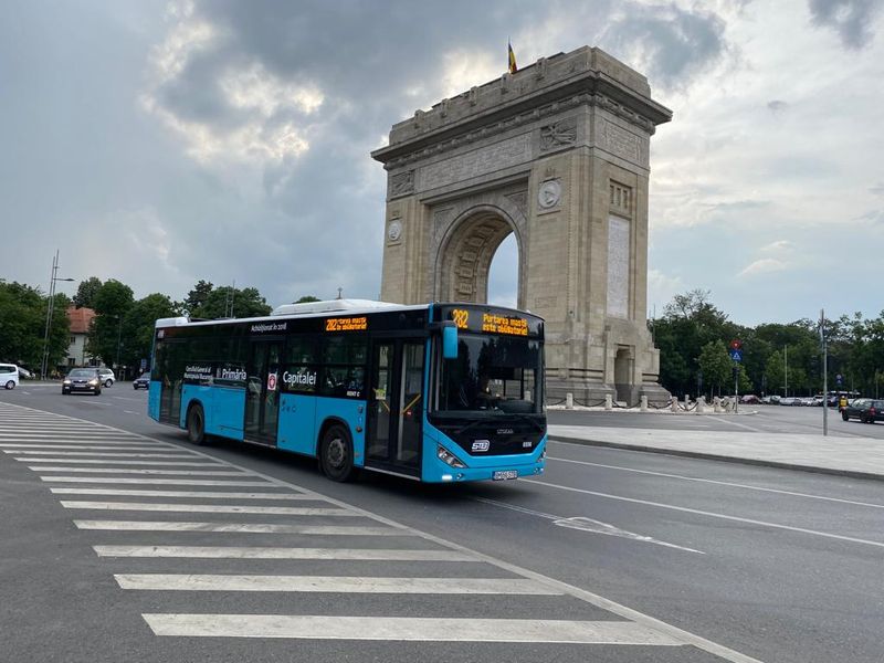 Șoferii STB, instruiți în legătură cu transportul animalelor de companie 