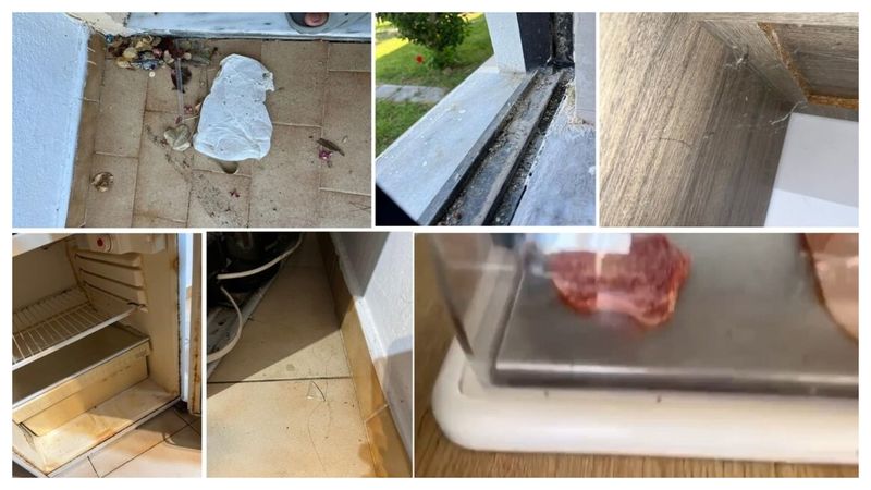 Imagini șocante din vacanță