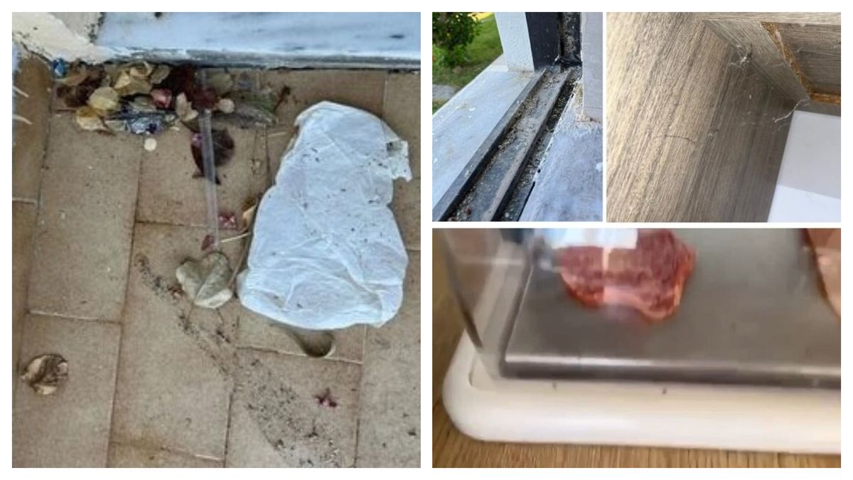 Vacanță ruinată pe Insula Rhodos