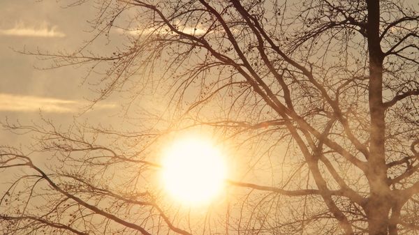 Temperaturi record la &icirc;nceput de septembrie! Meteorologii anunță Cod portocaliu de caniculă 