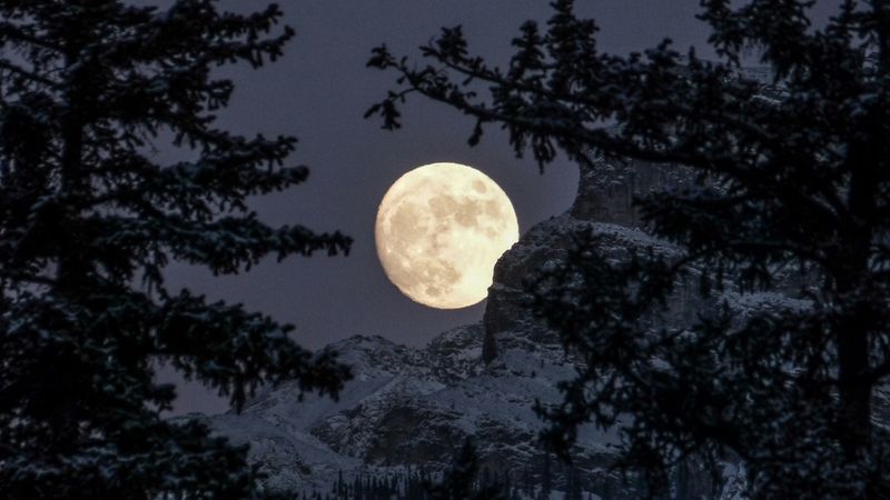 Luna Nouă din septembrie 2024 aduce schimbări radicale pentru 4 zodii: Ce ne rezervă astrele?