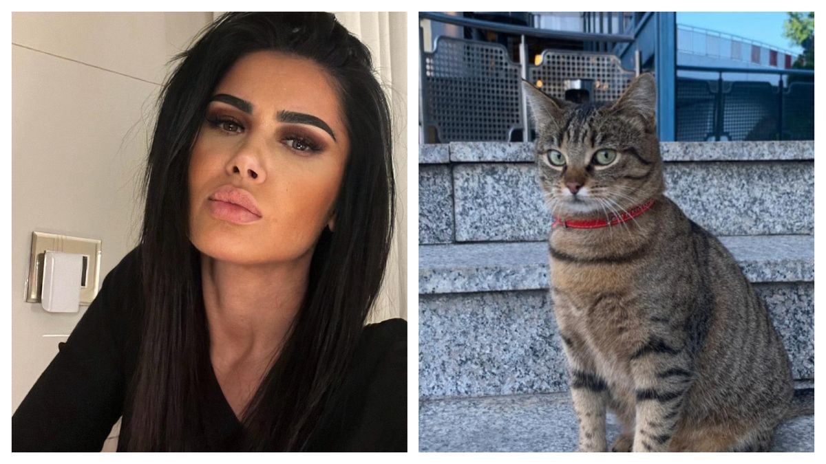 Oana Zăvoreanu se implică în găsirea pisicii Vasi