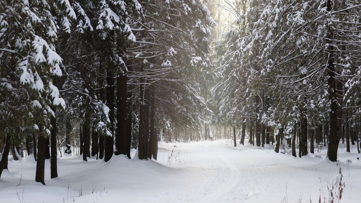În ce oraș va ninge pentru prima dată? 