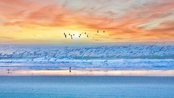 Scad terifele până la 70% la cazarile pe litoralul romanesc. Care este lista hotelurilor