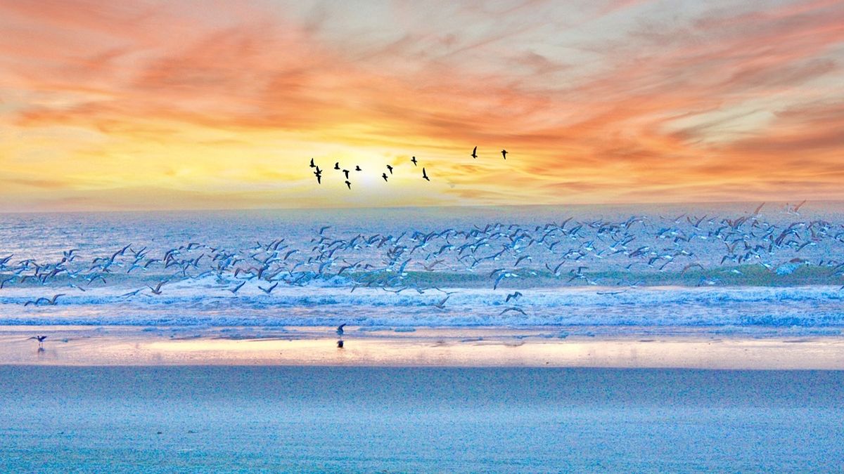 Începe programul „Litoralul pentru toți”