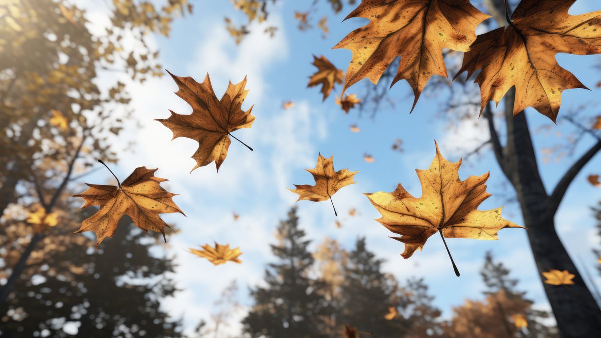 Cum va fi vremea &icirc;n următoarele zile? 