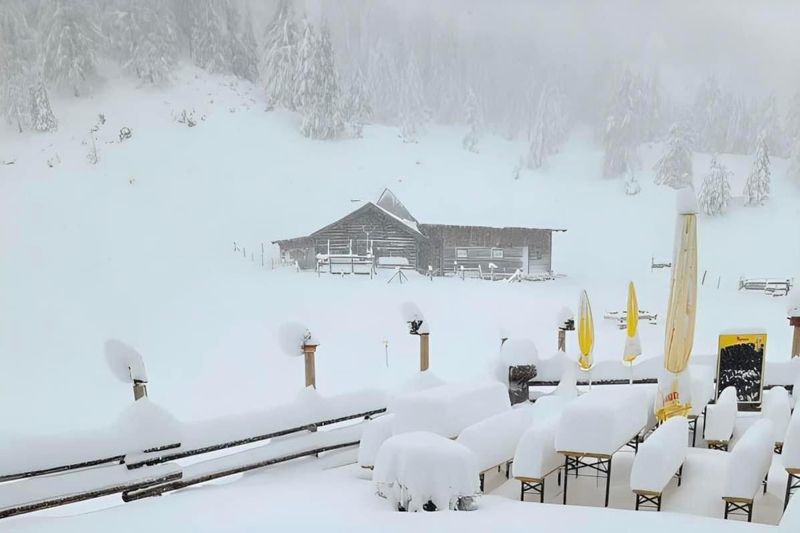 Peisaje de vis în Alpii Austriei 