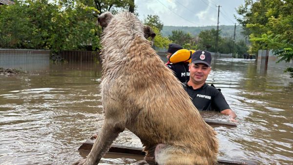 Codul Roșu de inundații, prelungit! Ciclonul Boris a făcut dezastru în Galați și Vaslui: ”Ce e în casă e dezastru, nenorocire”