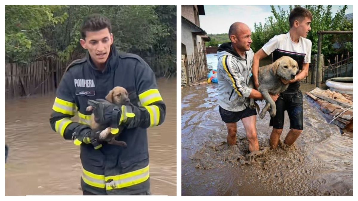 Apel emoționant după inundațiile devastatoare din Galați