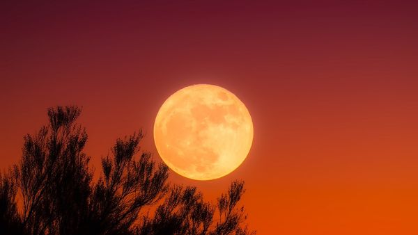 Eveniment cosmic fascinant pe 17 septembrie. LUNA PLINĂ și eclipsa parțială de lună marchează schimbări uriașe în destinele semnelor zodiacale