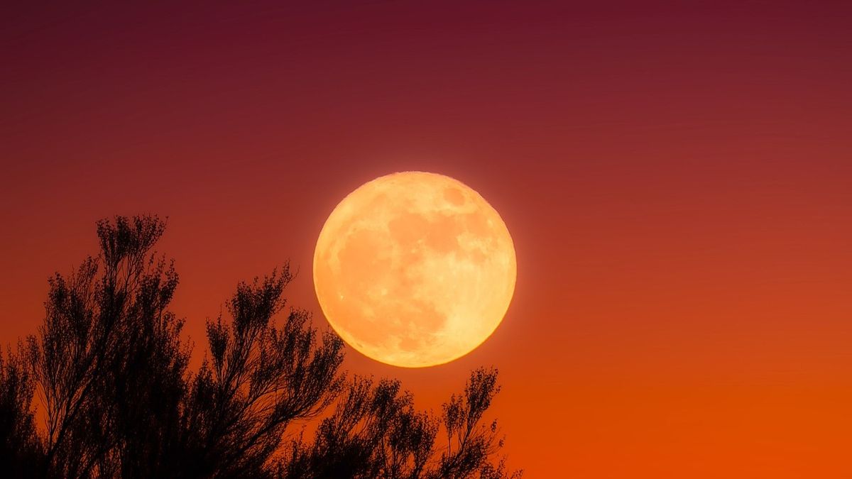 Două fenomene inedite vor avea loc &icirc;n septembrie 2024 