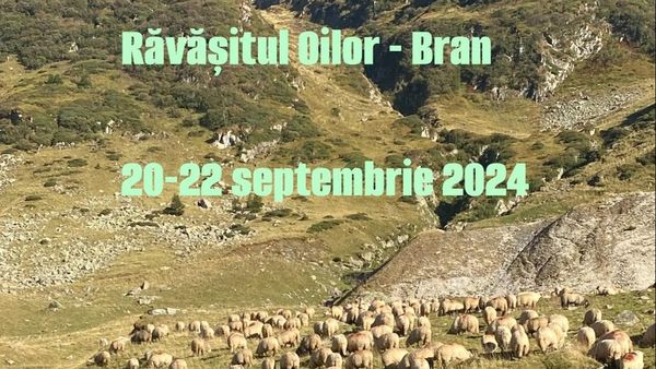 Festivalul Br&acirc;nzei şi Pastramei &bdquo;Răvăşitul Oilor&rdquo;, la Bran: Programul complet al evenimentelor din 2024
