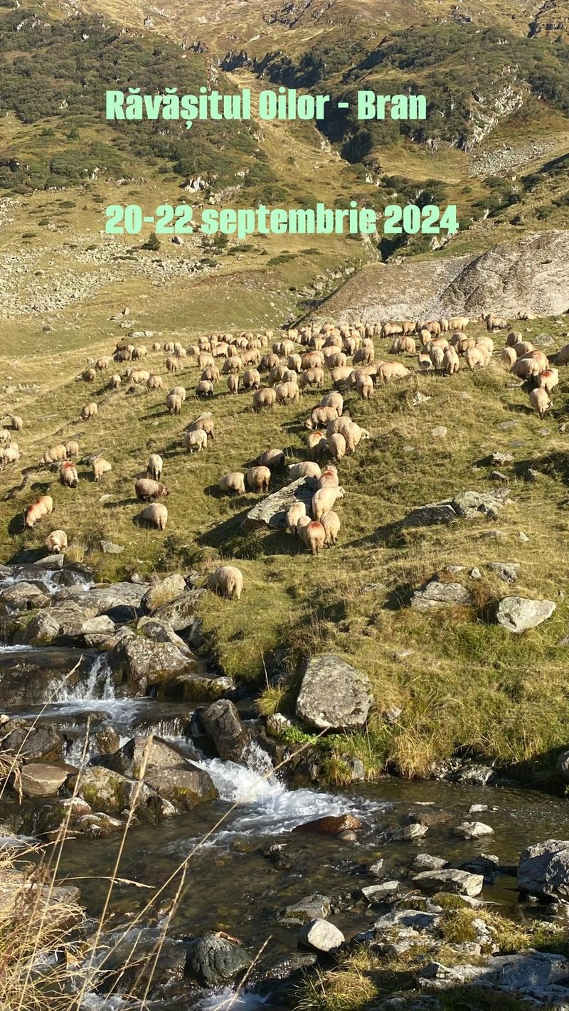 Programul evenimentelor de la Festivalul Brânzei și Pastramei 