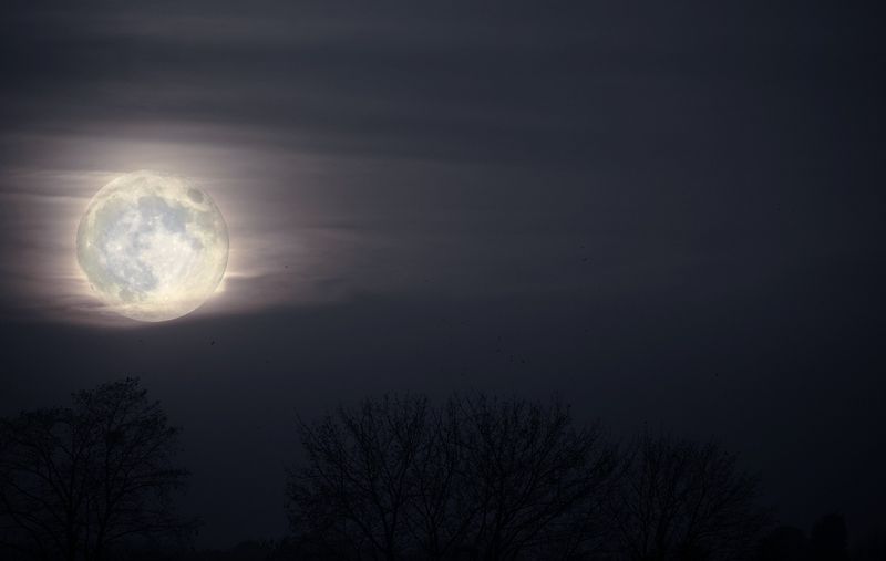 Cum s-au văzut Super Luna Recoltei și eclipsa parțială de lună noaptea trecută? 