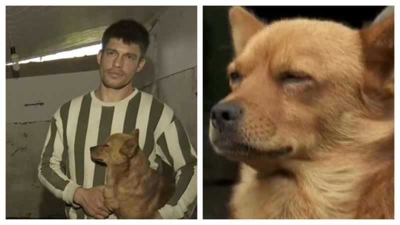 Cum Fiki și-a salvat stăpânul din calea puhoaielor de la Galați 