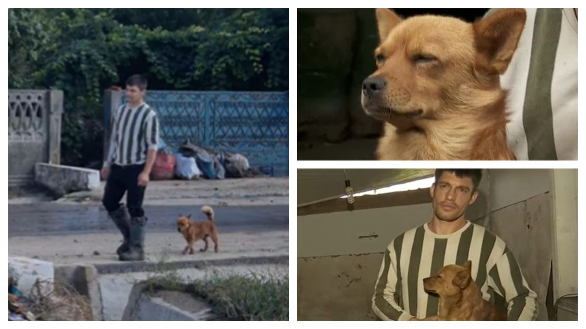  Fiki, cățelul care și-a salvat stăpânul din viitură 