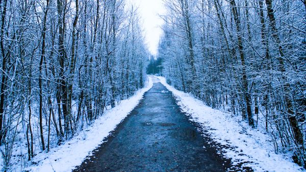 Meteorologii Accuweather anunță ploi înghețate în București! Când se produce acest fenomen periculos?