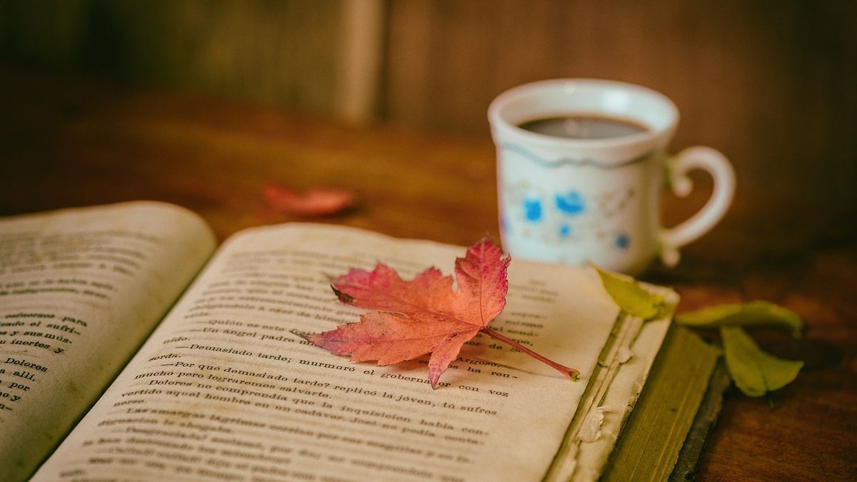 Descoperă cele mai frumoase cărți pentru toamna anului 2024 