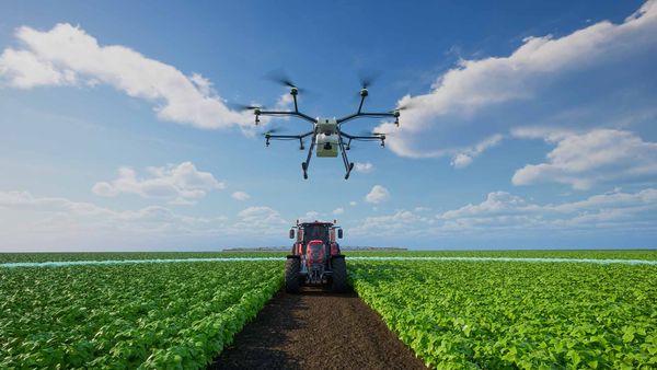 Tehnologia dronelor în gestionarea fermelor inteligente