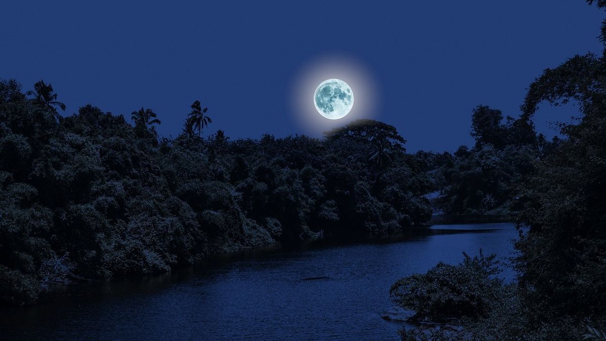 Care sunt fazele lunii în octombrie 2024? 