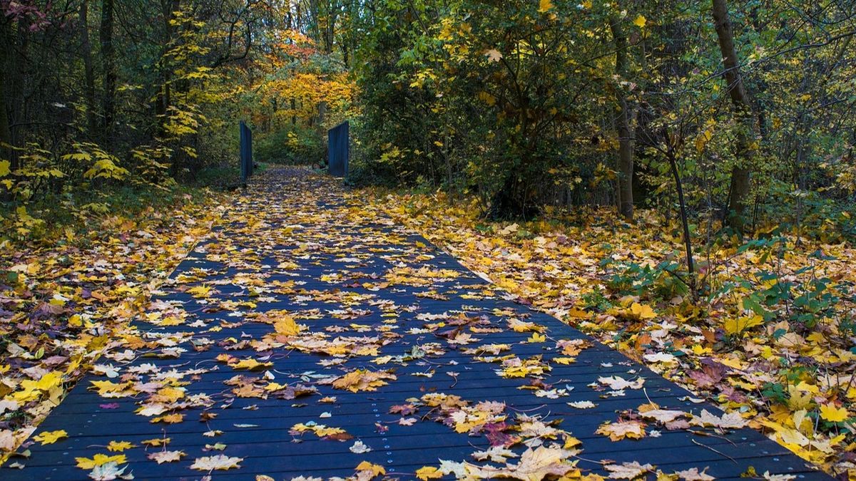 Cum va fi vremea în octombrie 2024? 