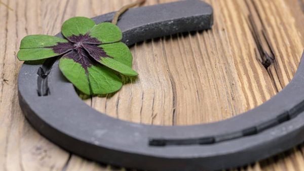 Cei Mai Superstițioși Suporteri Din Lume Și Tabieturile Lor