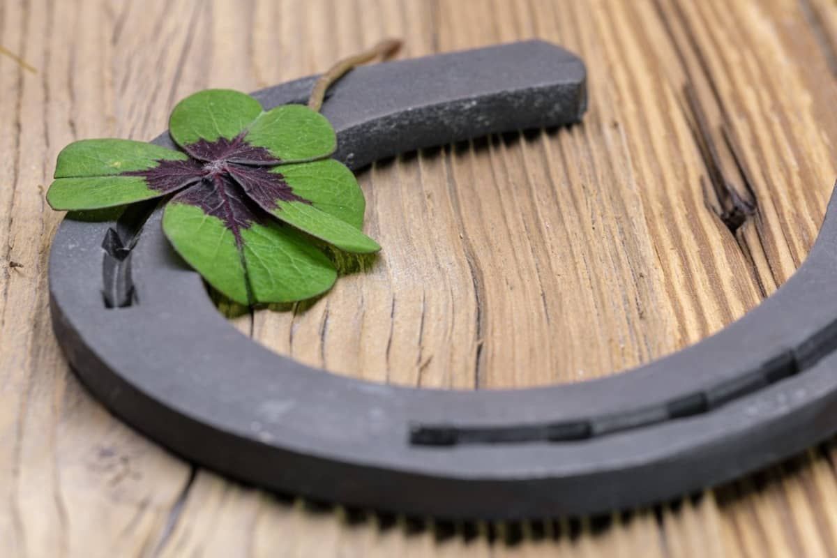 Cei Mai Superstițioși Suporteri Din Lume Și Tabieturile Lor