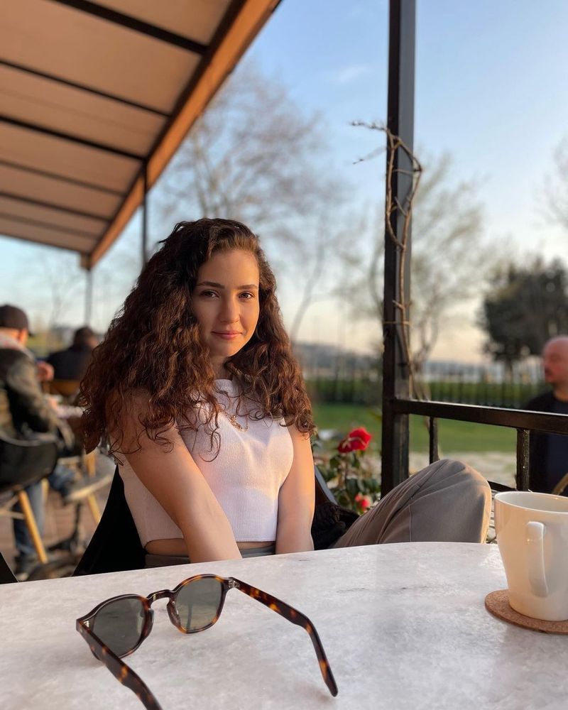 Melis Minkari aparitie fani