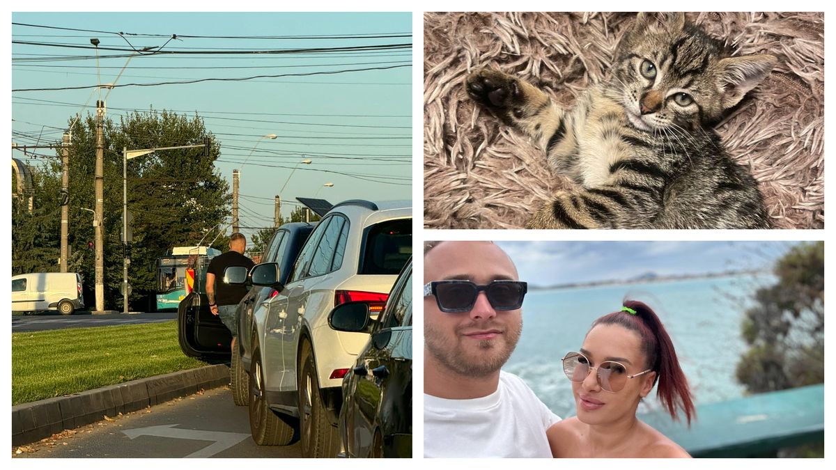 Un șofer din Galați a oprit traficul pentru a salva un pui de pisică 