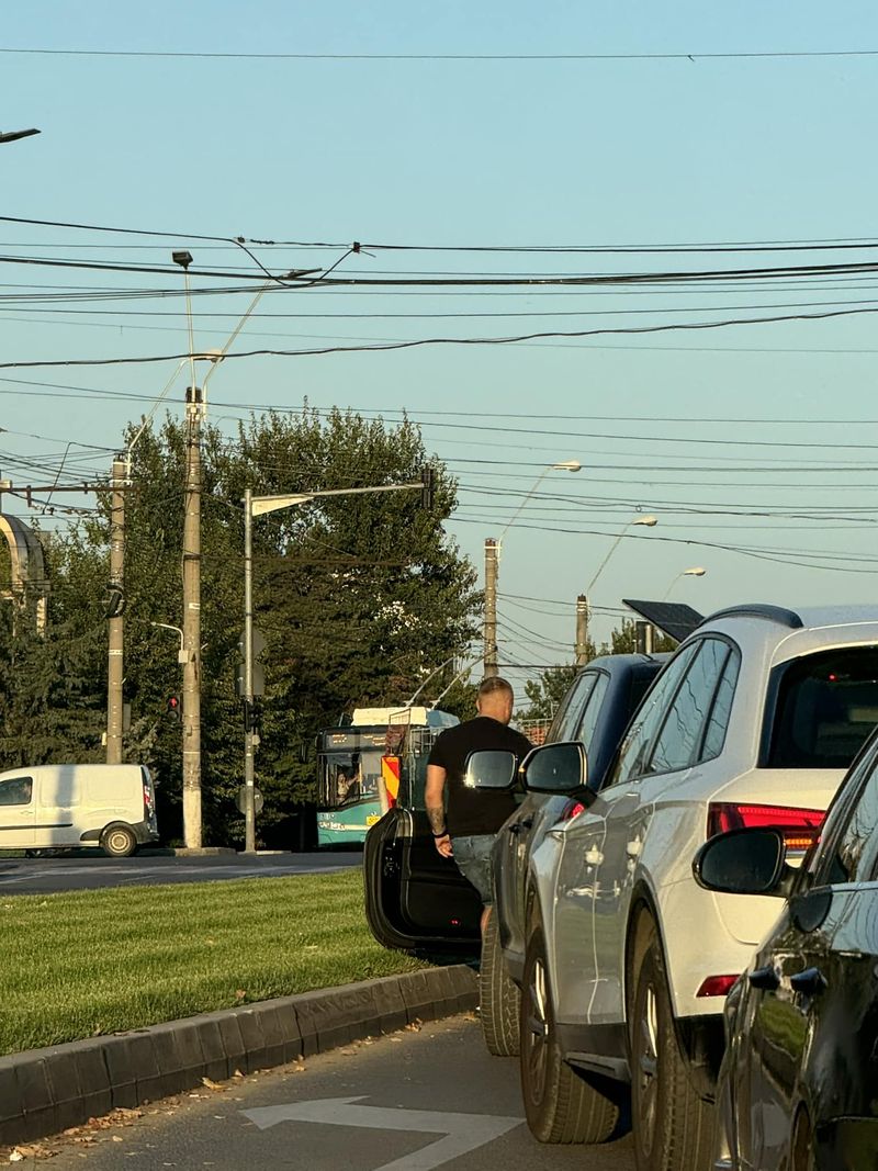  Un șofer și soția sa însărcinată au oprit traficul pentru a salva pisoiul