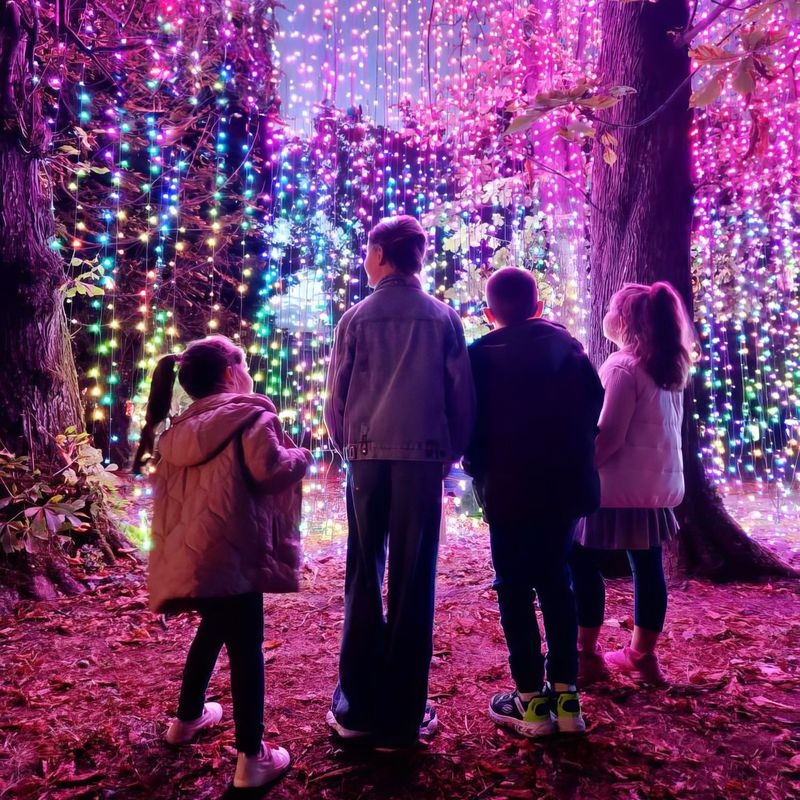 Grădina Botanică din București găzduiește Grădina Luminilor 