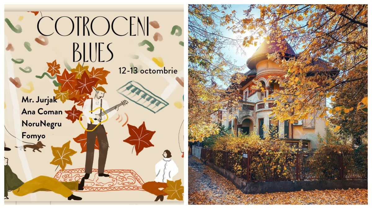 Ce poți face la Bazar de Cotroceni? 