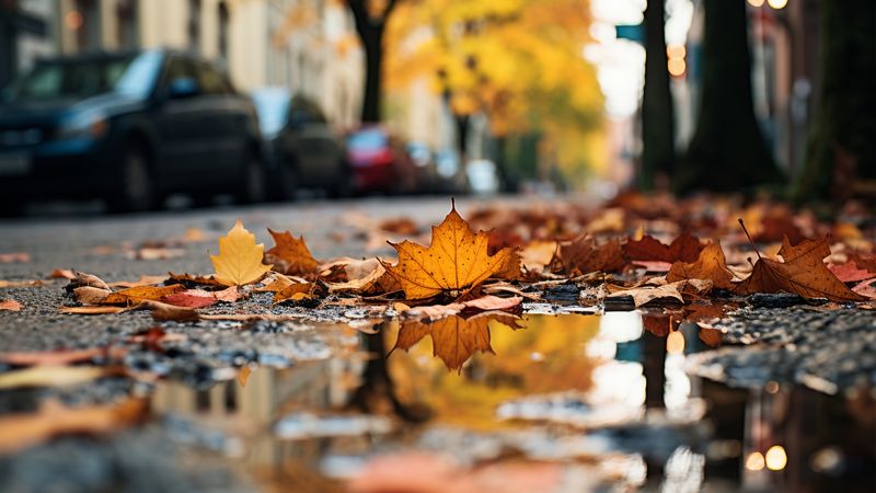 Meteorologii anunță ploi &icirc;n mai multe regiuni ale țării și cod galben de v&acirc;nt. Care sunt zonele vizate?