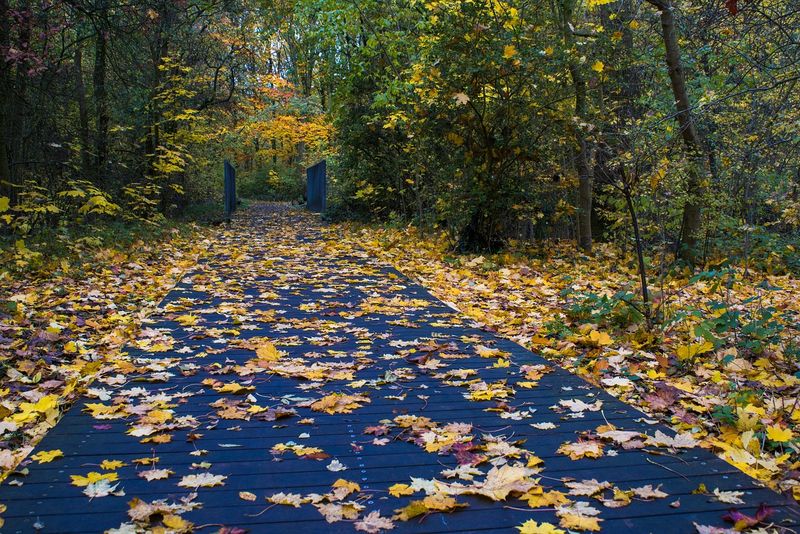 Unde sunt anunțate ploi? 