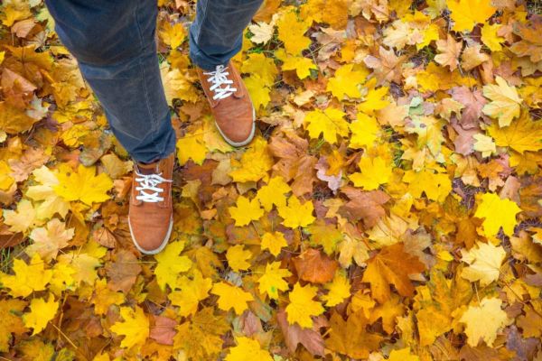 Sneakerși pentru bărbați &icirc;n culori de toamnă &ndash; cu ce &icirc;i asortăm?