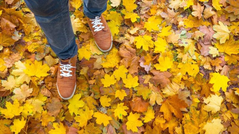 Sneakerși pentru bărbați &icirc;n culori de toamnă &ndash; cu ce &icirc;i asortăm?