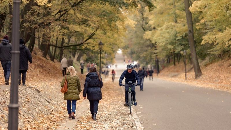 Cum va fi vremea &icirc;n noiembrie 2024? Ultima lună de toamnă vine cu temperaturi apropiate de pragul &icirc;nghețului