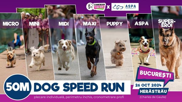 Dog Speed Run 50m &ndash; alergare de viteză pentru căței: Cum se desfășoară cursa și c&acirc;t costă biletul de &icirc;nscriere?
