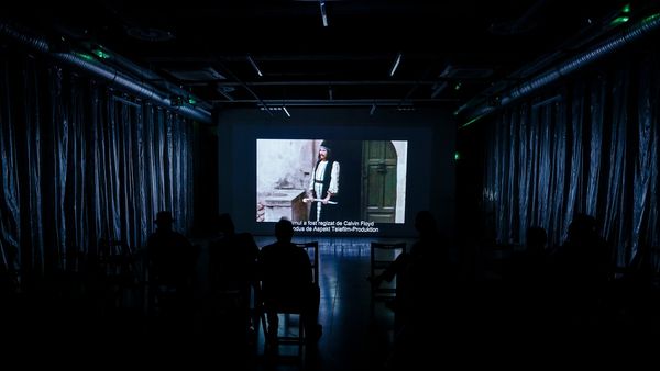Dracula Film Festival are loc &icirc;n perioada 30 octombrie - 3 noiembrie. Lista filmelor &icirc;nscrise &icirc;n competiție
