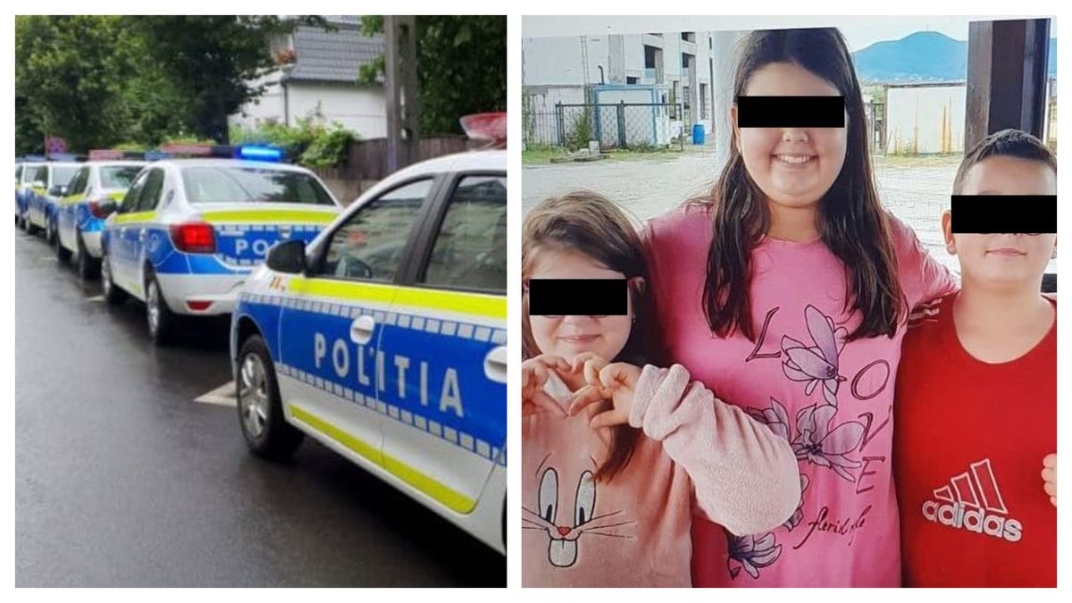 Ipoteză nouă &icirc;n ancheta fraților dispăruți din Hunedoara 