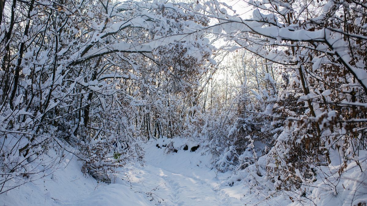 Cum va fi iarna 2024-2025 în România? 