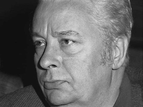 Cine a fost, de fapt, Radu Budeanu Senior, soțul regretatei Delia Budeanu