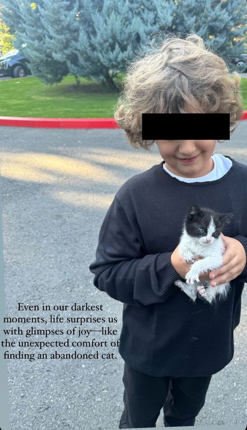 După despărțirea de Delia Budeanu, familia găsește alinare într-un pui de pisică abandonat