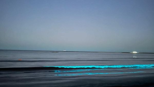 Imagini spectaculoase de pe litoralul românesc! Valurile mării s-au transformat în adevărate jocuri de lumină