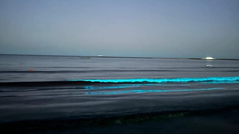 Imagini spectaculoase de pe litoralul rom&acirc;nesc! Valurile mării s-au transformat &icirc;n adevărate jocuri de lumină