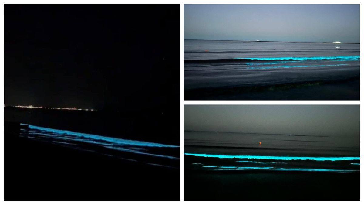 Imagini spectaculoase au fost surprinse la Marea Neagră 