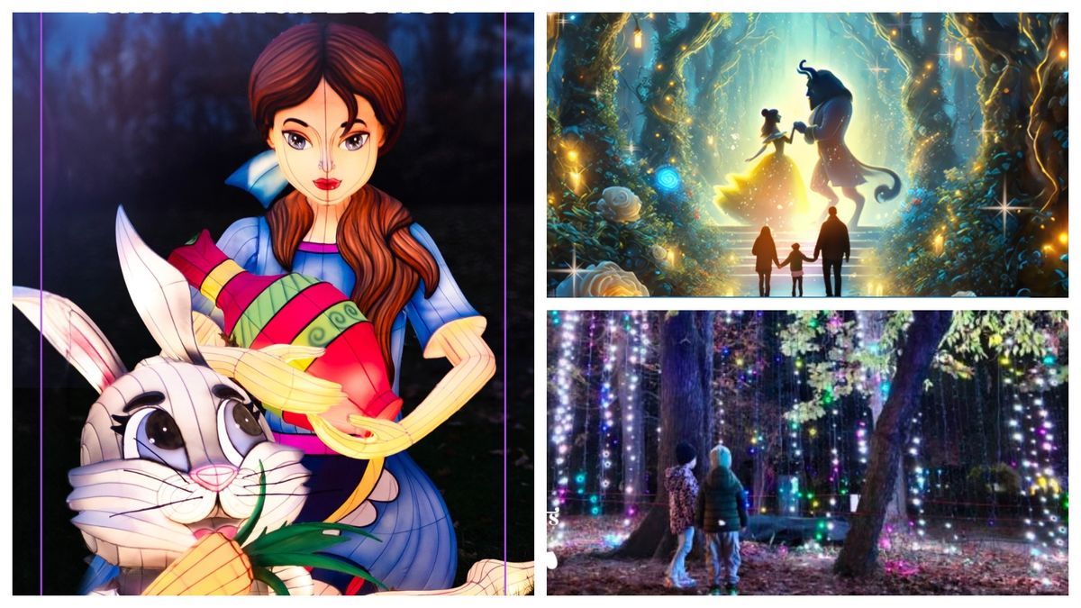 Azi se deschide Grădina Luminilor 