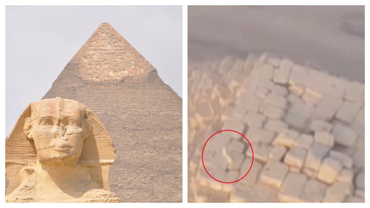Cum a ajuns un câine pe vârful uneia dintre cele mai înalte piramide din Giza