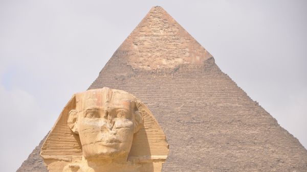 Povestea lui Apollo, c&acirc;inele care a uimit lumea după ce a ajuns pe v&acirc;rful uneia dintre cele mai &icirc;nalte piramide din Giza