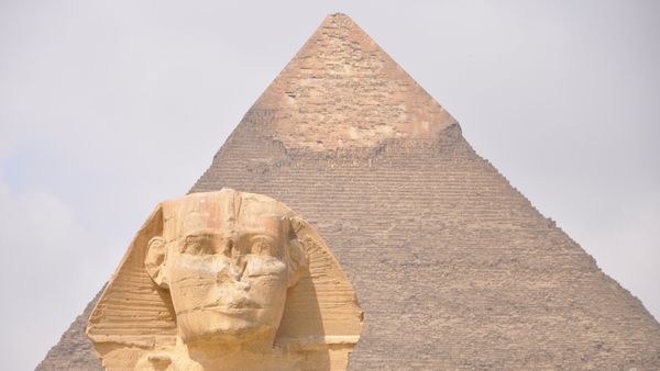 Povestea lui Apollo, câinele care a uimit lumea după ce a ajuns pe vârful uneia dintre cele mai înalte piramide din Giza